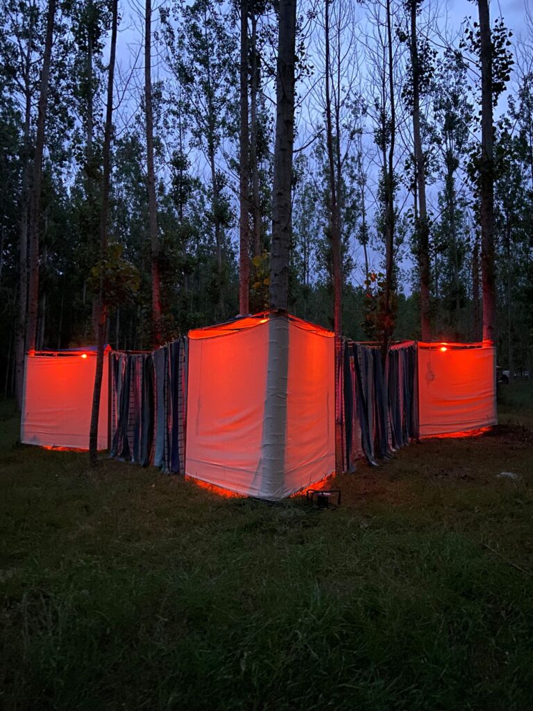 WhatsApp Image 2024-08-08 at 13.49.34